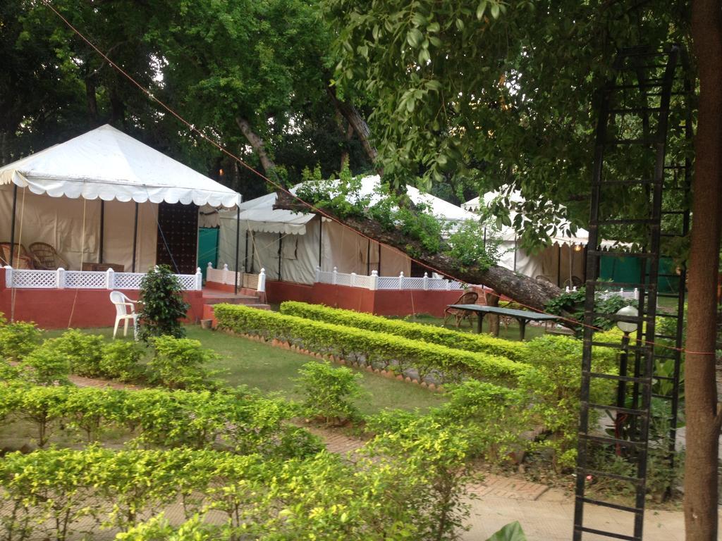 The Aravali Tent Resort Udaipur Quarto foto